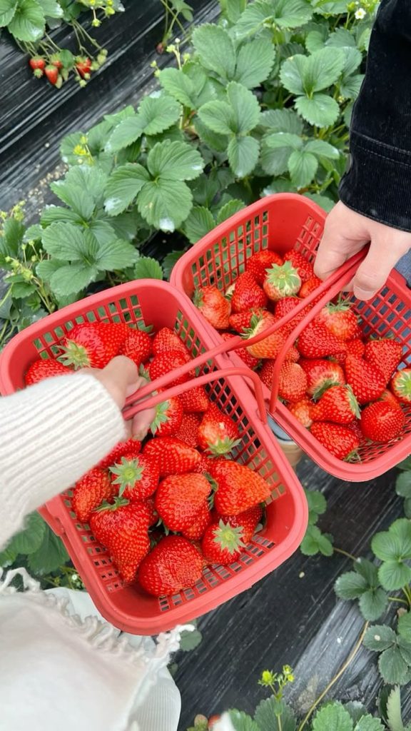 Gambar WhatsApp 2025-11-28 pukul 12.49.04_065d163b